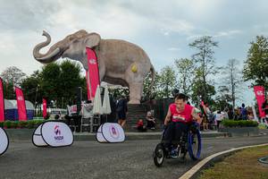 BIB: 
                            <button type="button" onclick="openModal(26528893)" class="btn btn-primary btn-sm float-right btn-popup" data-toggle="modal" data-target=".modal-high-quality">
                        <i class="fas fa-shopping-cart"></i> Add to Cart
                    </button>
                                            <button type="button" onclick="isThisMe(26528893, true)" class="btn btn-success btn-sm float-right btn-popup btn-isme hidden" data-toggle="tooltip" data-placement="bottom" title="นี่คือรูปของคุณใช่ไหม คลิกที่นี่เพื่อเอาเข้าอัลบั้ม">
                        <i class="fas fa-plus"></i> Add to album
                    </button>
                    <button type="button" onclick="isThisMe(26528893, false)" class="btn btn-warning btn-sm float-right btn-popup btn-isnotme hidden">
                        <i class="fas fa-ban"></i> Remove from album
                    </button>